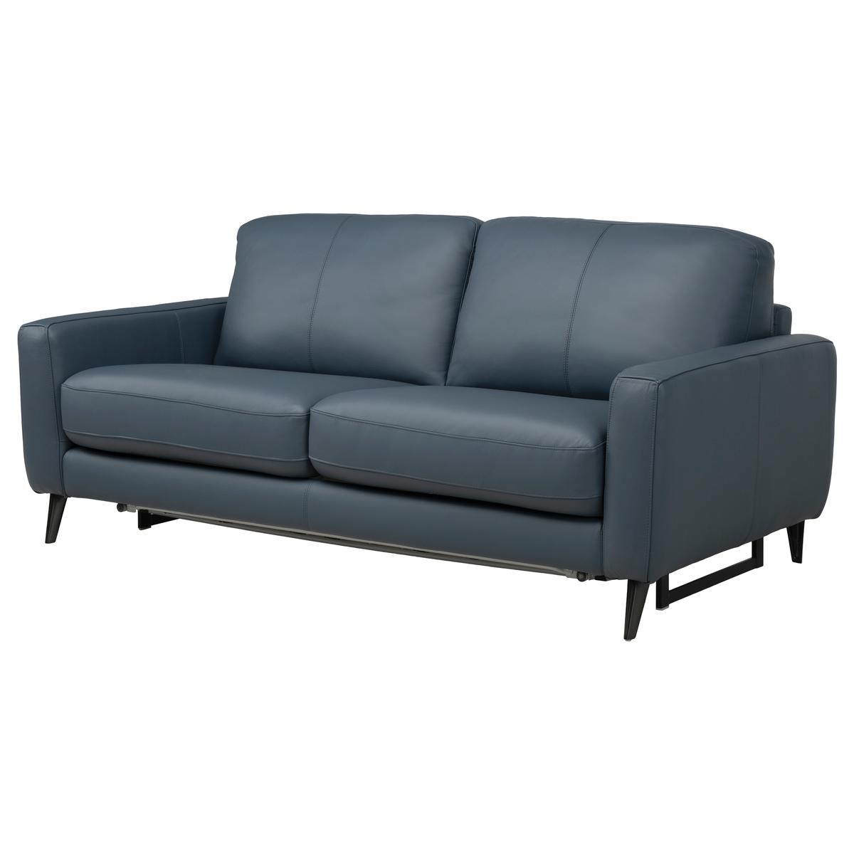 Lloyd Blue Leather Full Sleeper