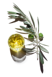 Un vaso de aceite de oliva junto a una rama de olivo.
